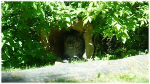 Gut versteckt